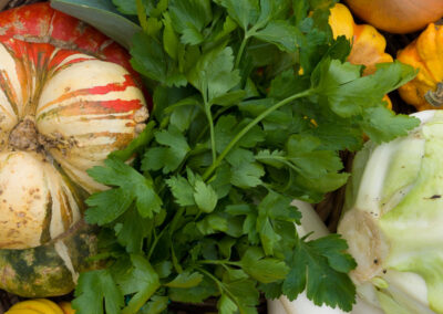 Panier de légumes de Jalle Pont